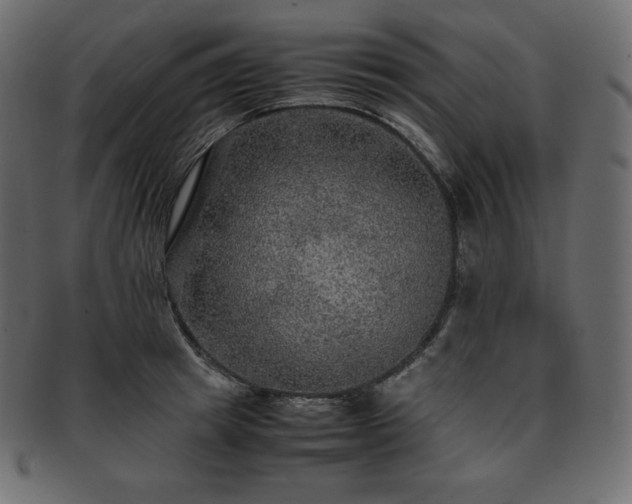 X0000093370849200710191114