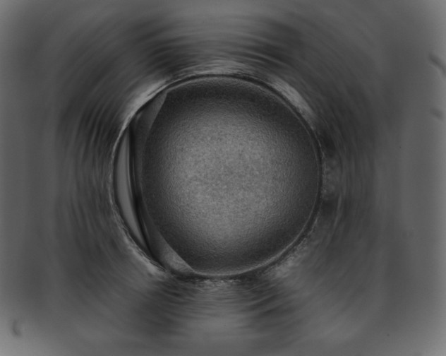 X0000093370850200710191114