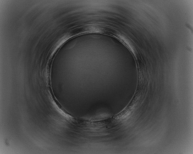 X0000093370851200710191114