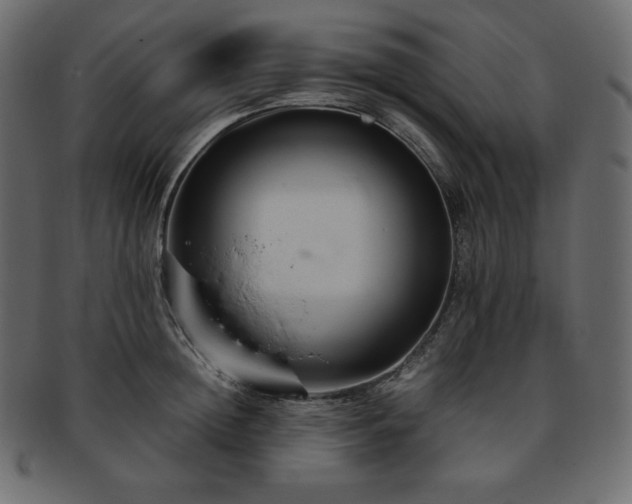 X0000093370852200710191114