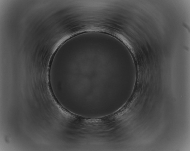 X0000093370853200710191114