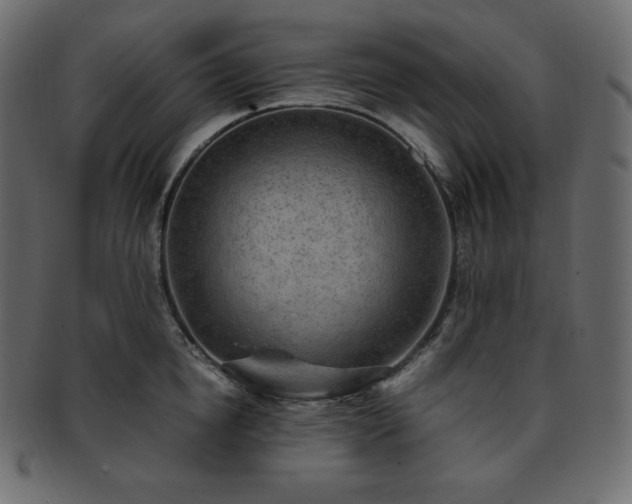 X0000093370854200710191114