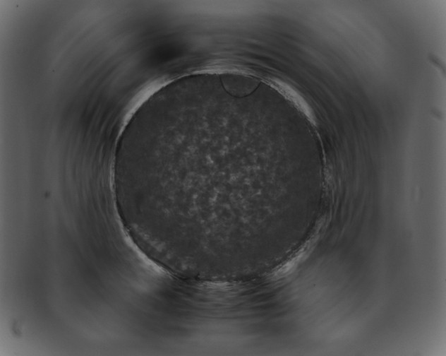 X0000093370855200710191114