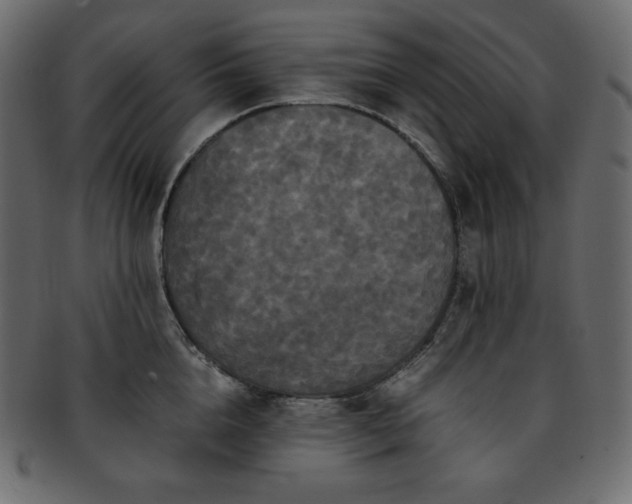 X0000093370856200710191114