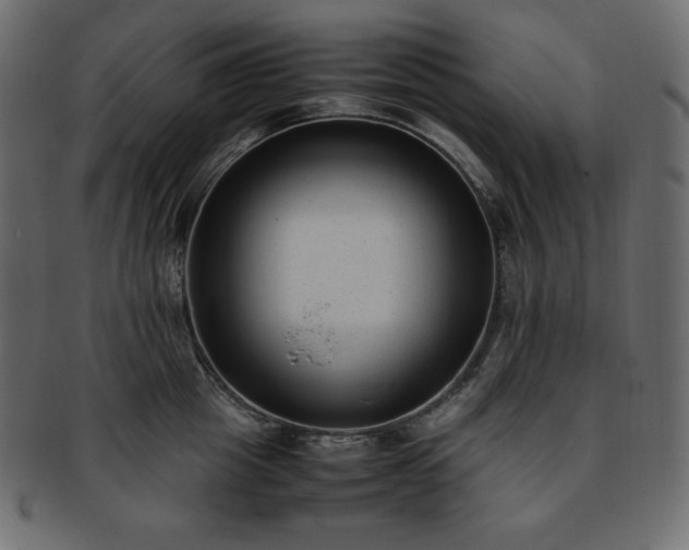 X0000093370857200710191114