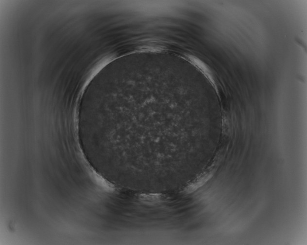 X0000093370859200710191114