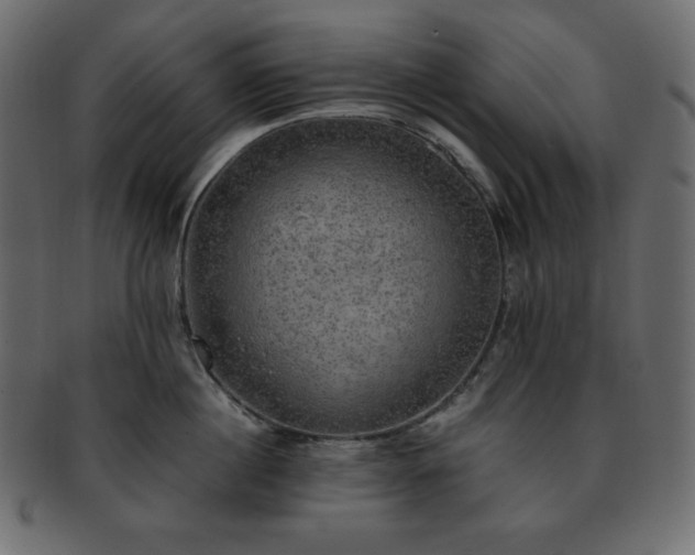 X0000093370860200710191115