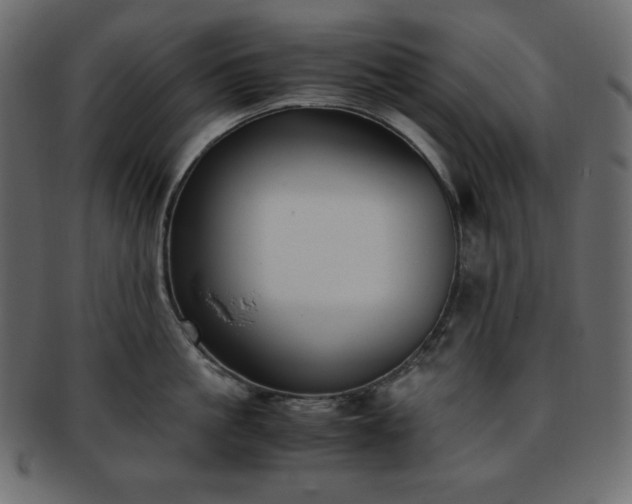 X0000093370861200710191115