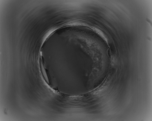 X0000093370863200710191115