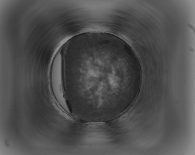 X0000093370864200710191115