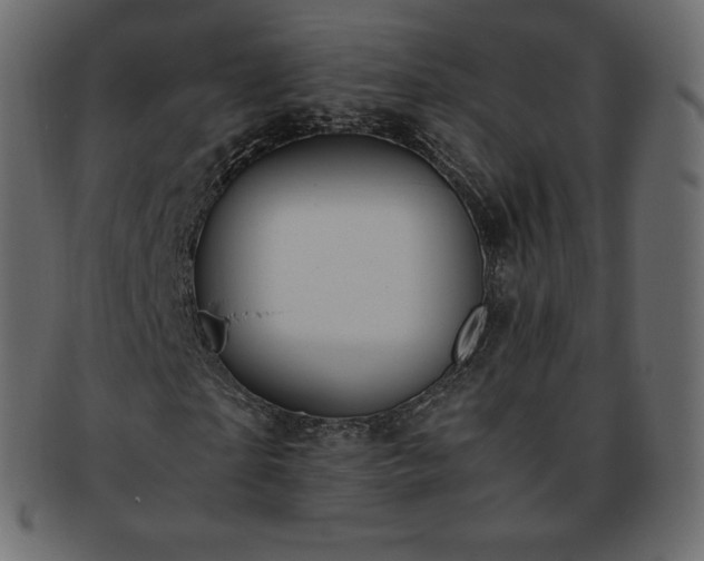 X0000093370865200710191114