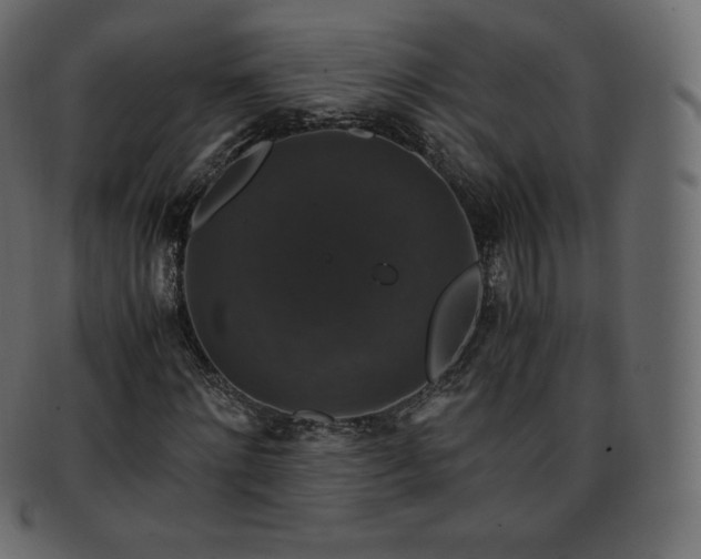 X0000093370868200710191114