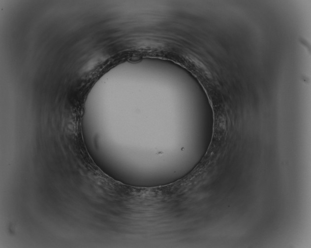 X0000093370869200710191114