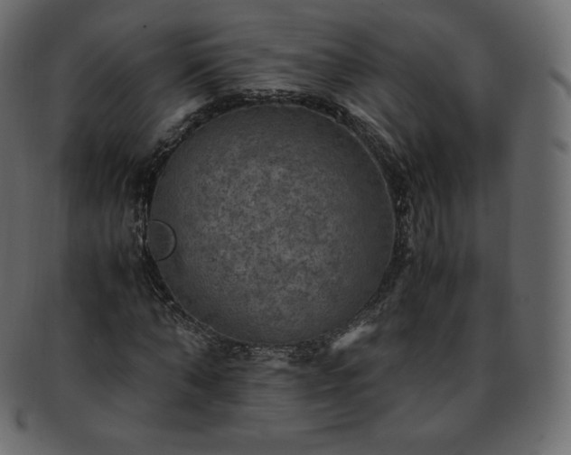 X0000093370870200710191114