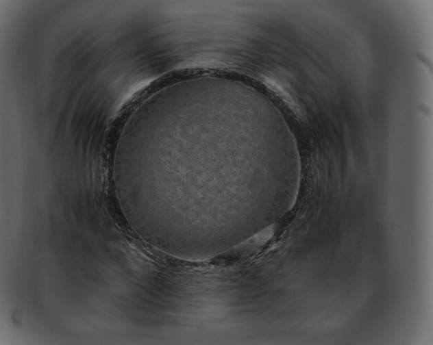 X0000093370872200710191114