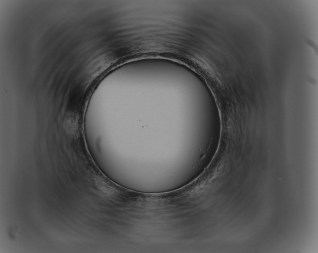 X0000093370873200710191114