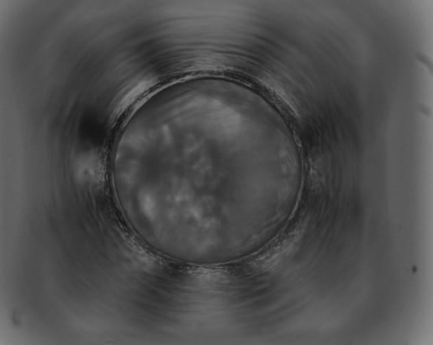 X0000093370874200710191114