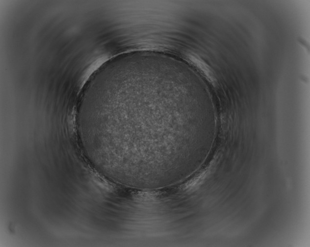 X0000093370875200710191114