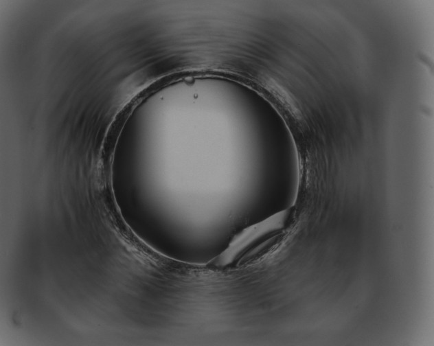 X0000093370876200710191114