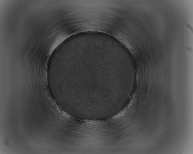 X0000093370877200710191114