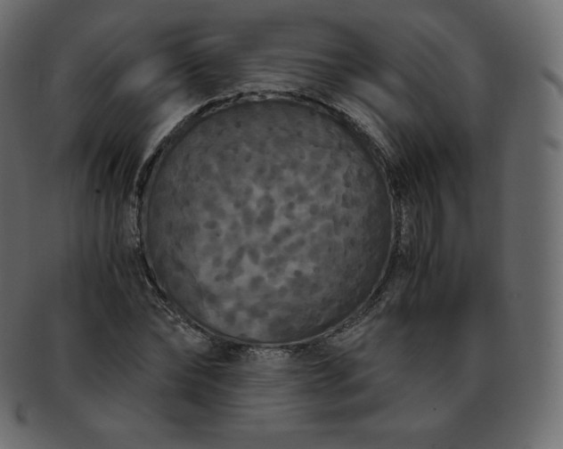 X0000093370878200710191114