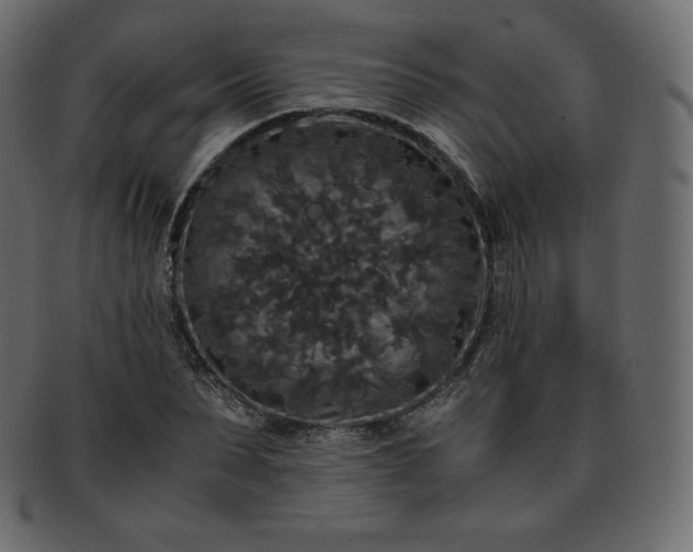 X0000093370879200710191114