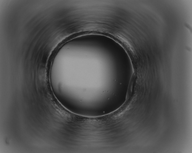 X0000093370880200710191114