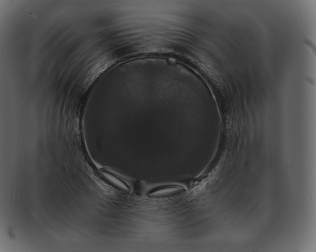 X0000093370881200710191114