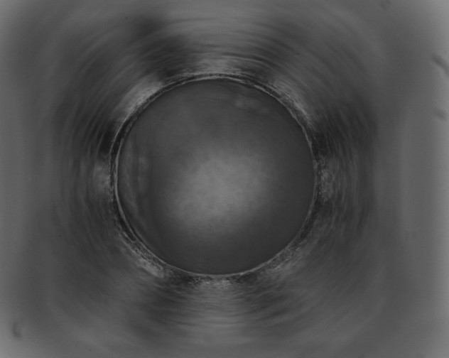 X0000093370882200710191114