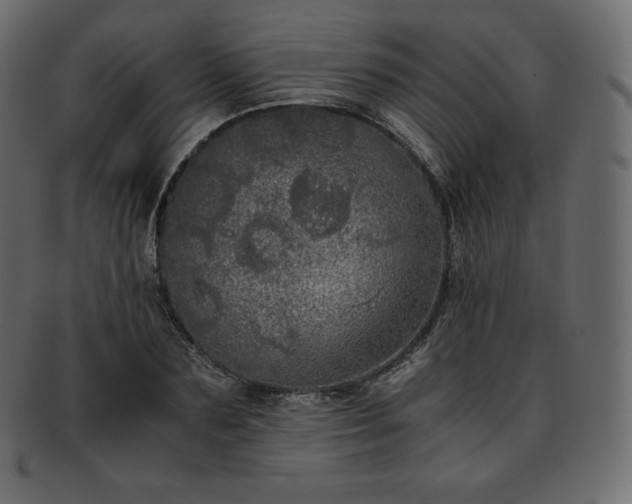 X0000093370883200710191114