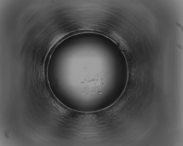 X0000093370884200710191114