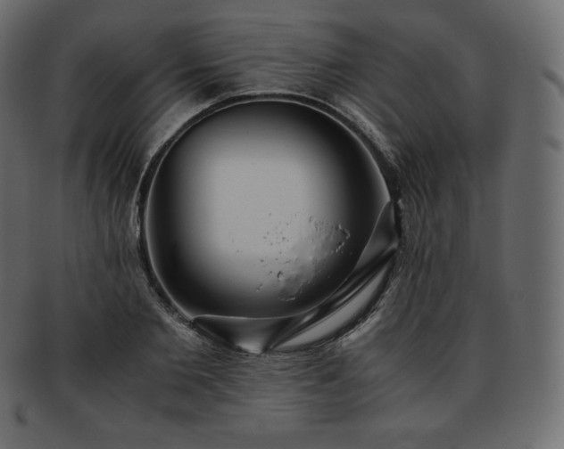 X0000093370885200710191114