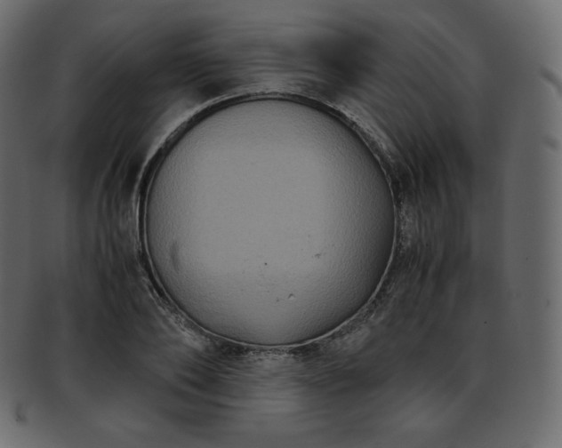 X0000093370886200710191114