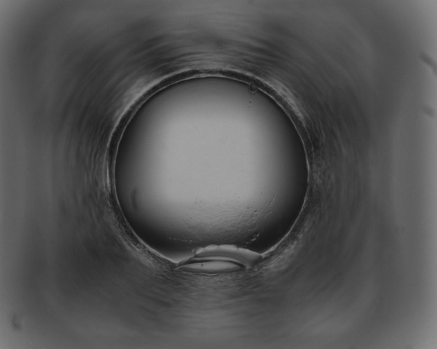 X0000093370887200710191114