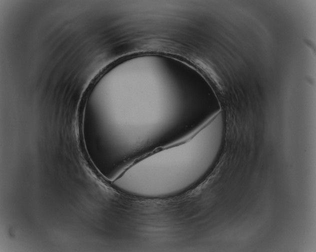 X0000093370888200710191114