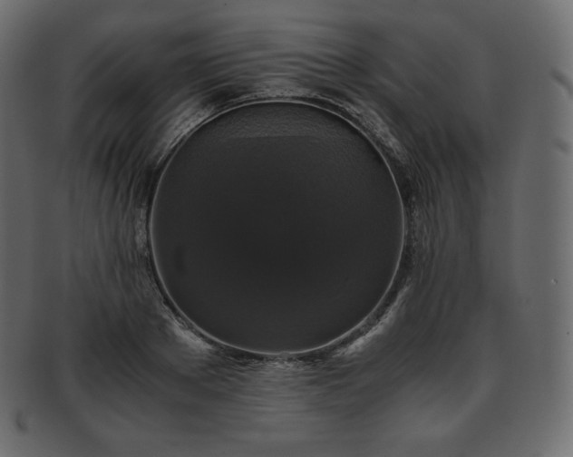 X0000093370889200710191114