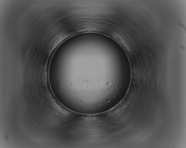 X0000093370890200710191114