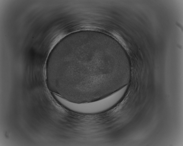 X0000093370891200710191114