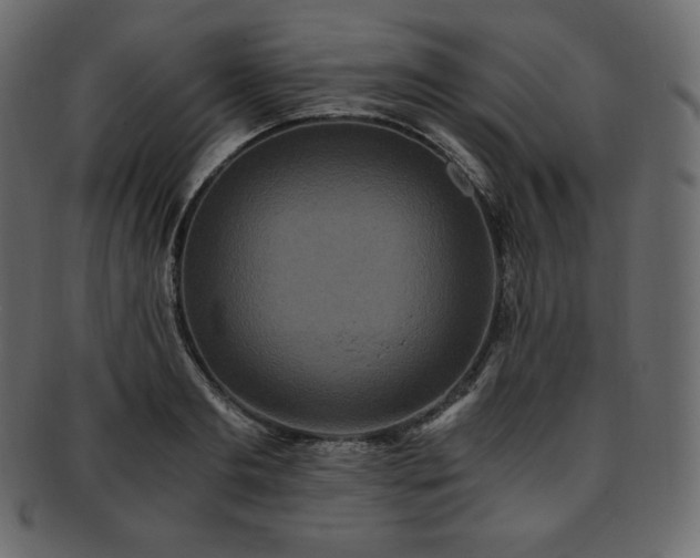 X0000093370893200710191114