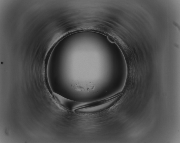 X0000093370894200710191114