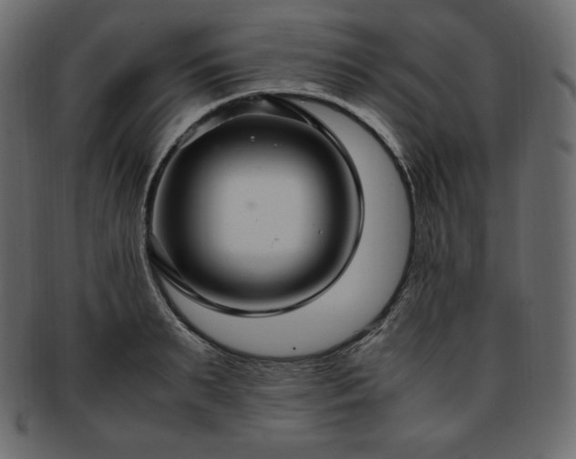 X0000093370895200710191114