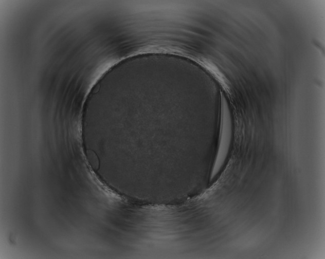 X0000093370896200710191114