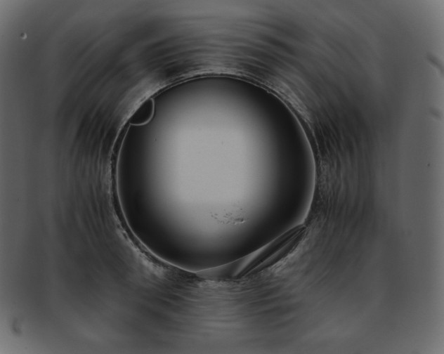 X0000093370898200710191114