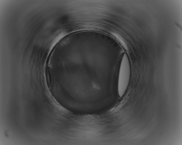 X0000093370899200710191114