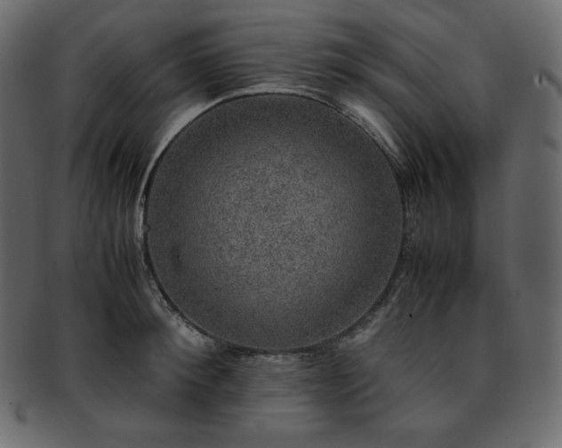 X0000093370900200710191114