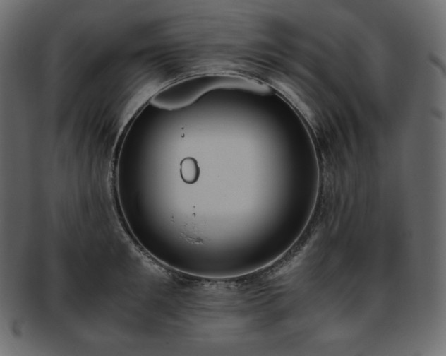 X0000093370901200710191114