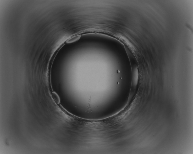 X0000093370902200710191114