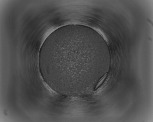 X0000093370903200710191114