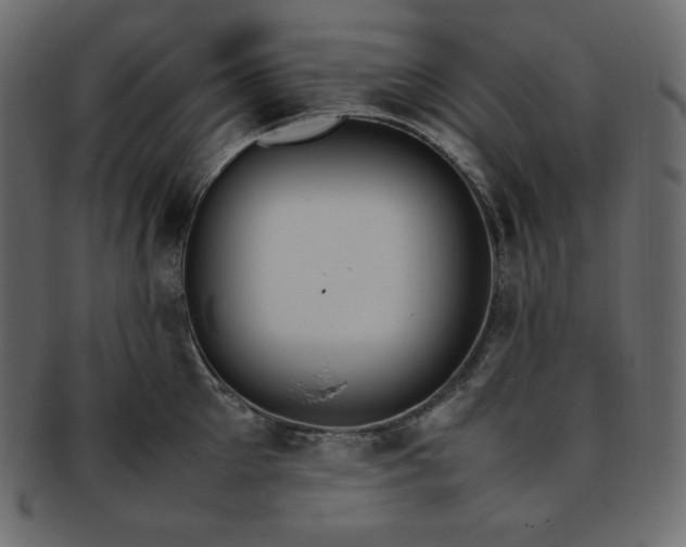 X0000093370905200710191114