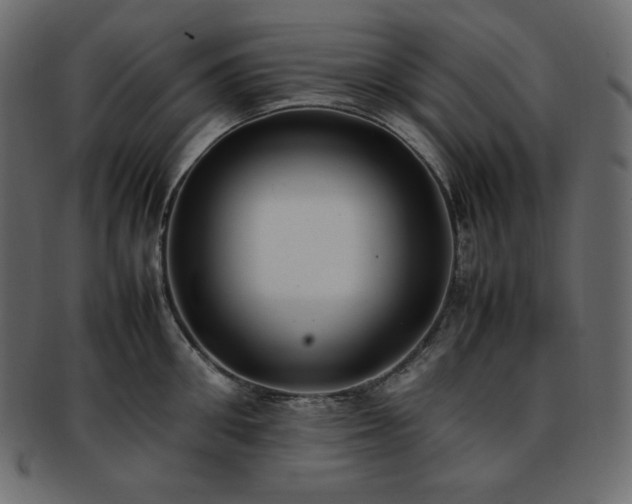 X0000093370906200710191114